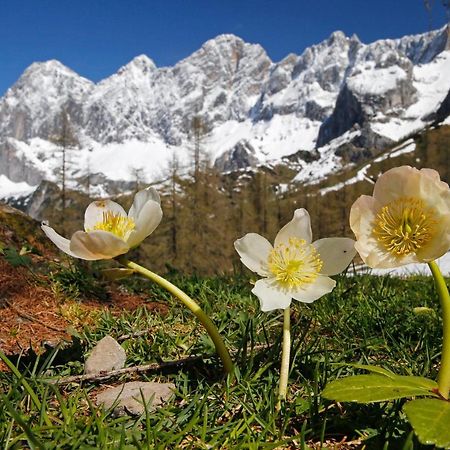 Appartementhaus Finis Ramsau am Dachstein Eksteriør billede