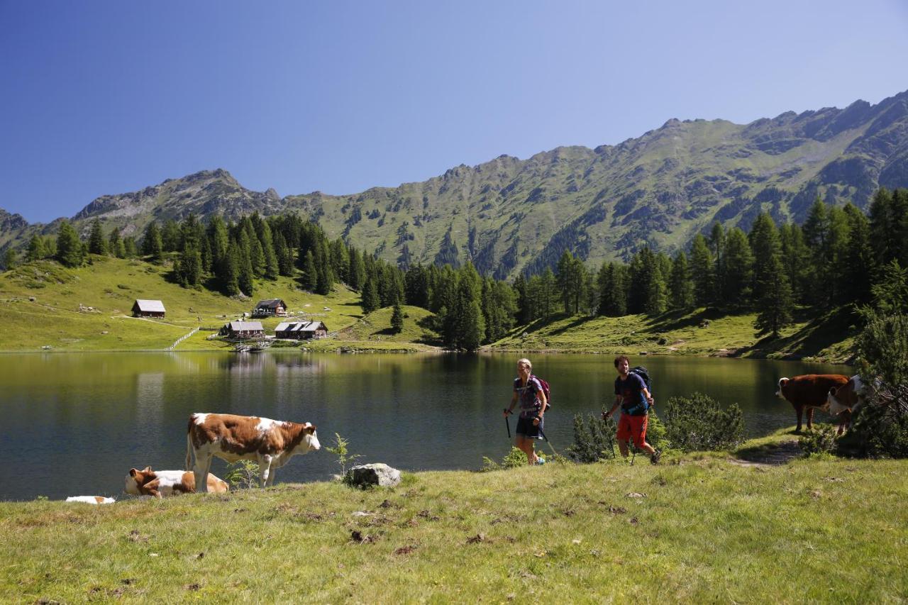 Appartementhaus Finis Ramsau am Dachstein Eksteriør billede