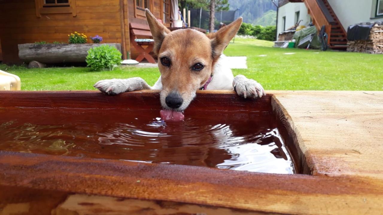 Appartementhaus Finis Ramsau am Dachstein Eksteriør billede