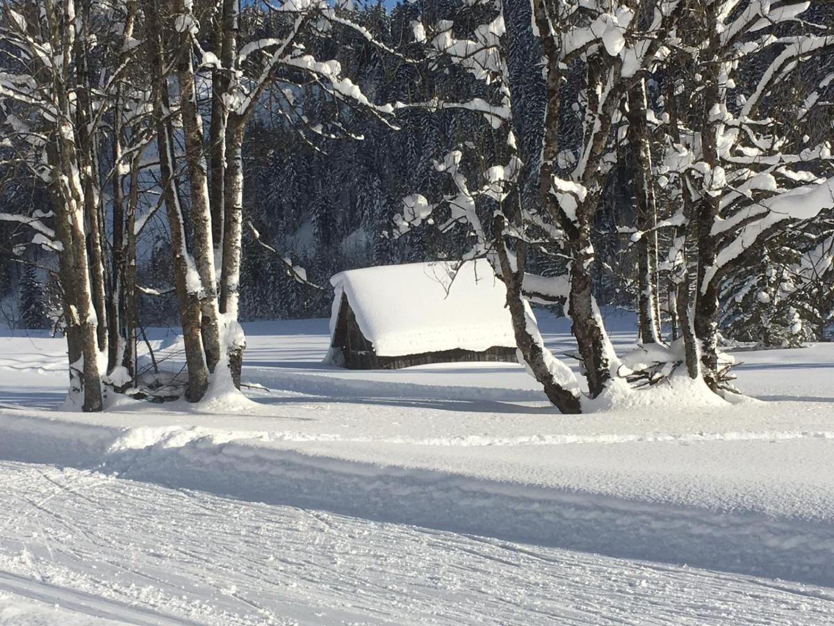 Appartementhaus Finis Ramsau am Dachstein Eksteriør billede