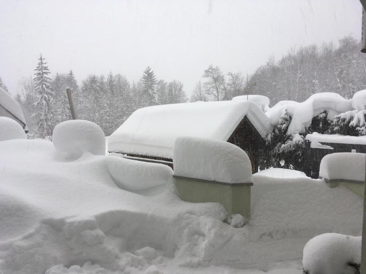 Appartementhaus Finis Ramsau am Dachstein Eksteriør billede