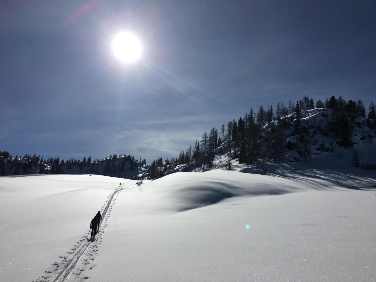 Appartementhaus Finis Ramsau am Dachstein Eksteriør billede